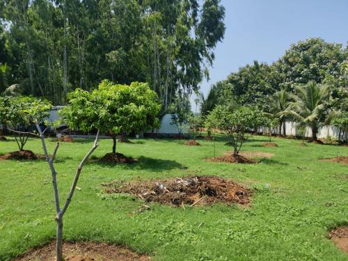 Κήπος έξω από το Accommodation &room near dorathota Bheemunipatam vishakhapatnam