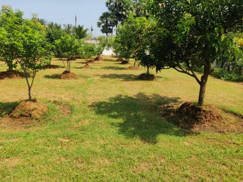 Κήπος έξω από το Accommodation &room near dorathota Bheemunipatam vishakhapatnam