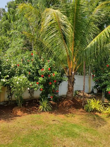 Κήπος έξω από το Accommodation &room near dorathota Bheemunipatam vishakhapatnam