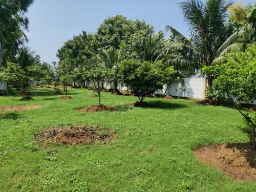 Κήπος έξω από το Accommodation &room near dorathota Bheemunipatam vishakhapatnam