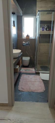 a bathroom with a shower and a sink and a toilet at Leon Apartment in Pedini