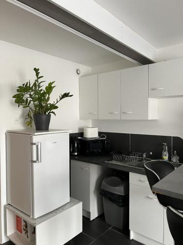une cuisine avec des armoires blanches et une plante en pot dans l'établissement Le cosy Jean Jaures - Double bed - Free parking, à Châlons-en-Champagne