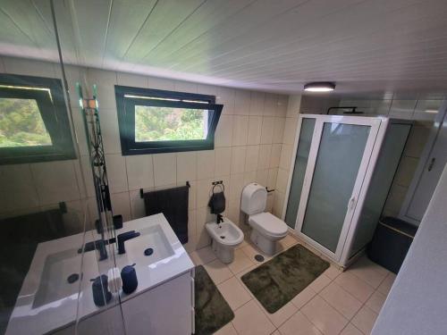 a bathroom with a toilet and a shower and a sink at Casa Vieira in Fajã da Ovelha