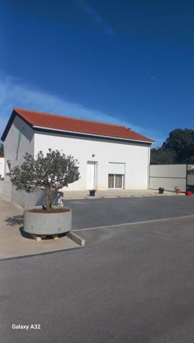 Monte dos Pastorinhos II