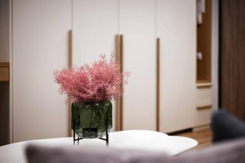 Fotografie z fotogalerie ubytování Cozy Quiet City Center Apartment v destinaci Klaipėda