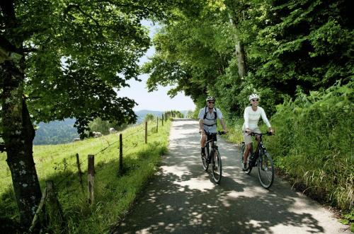 two people riding bikes down a dirt road at Hotel Natur-Landhaus Krone in Maierhöfen