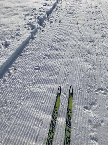 a pair of skis are in the snow at Hotel Natur-Landhaus Krone in Maierhöfen