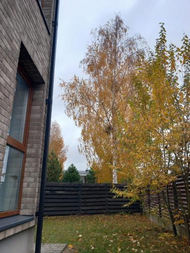 a house with a fence and a tree at SPA TOWN house II in Druskininkai