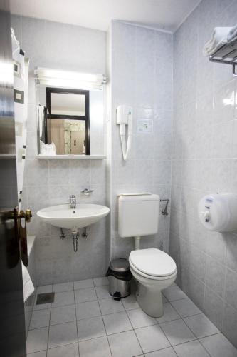 a bathroom with a toilet and a sink at Hotel Alp in Bovec