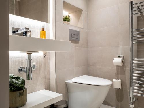 a small bathroom with a toilet and a shower at Arran Shores 7 in Lamlash