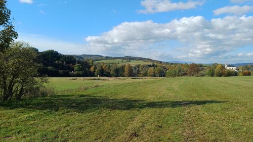 a large green field with trees in the background at Trempská Chalupa Aronie in Olešnice v Orlických horách