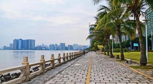 a sidewalk with palm trees next to a body of water at Catic Hotel--Adjacent Buliding in Zhuhai