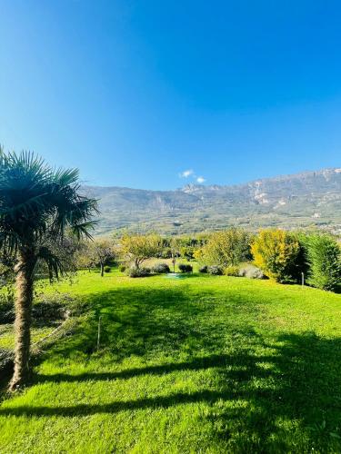 a palm tree in a field with mountains in the background at Countryhouse Verso in Rovereto