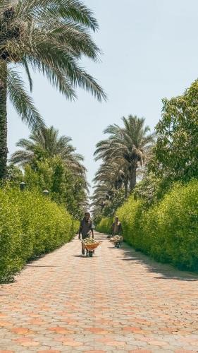 two people walking down a brick path with palm trees at Waterfall Zoo Lodge Deluxe Suite 1 in As Sab‘ Ābār al Gharbīyah