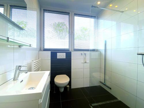 a bathroom with a toilet and a sink and a shower at Kustverhuur, Park Schoneveld Stern 218 in Breskens
