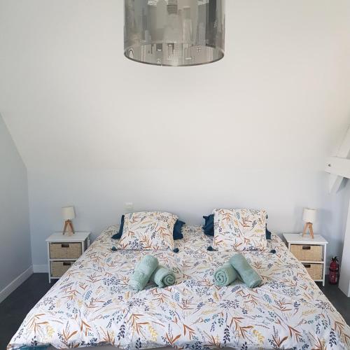 - un lit avec 2 oreillers et 2 tables de nuit dans l'établissement Grande Chambre entre caen et la mer chambre terrasse jardin et piscine, à Mathieu