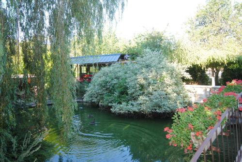a pond in a garden with trees and flowers at Les insolites du Grand Logis in Marchais