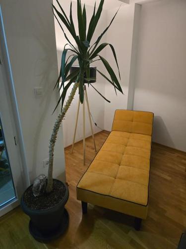 salon z kanapą i doniczkową rośliną w obiekcie Na Gosti w mieście Skopje