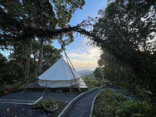 a white tent on a gravel road with trees at The Hidden Gem Viewpoint Camping & Rooms in Ban Nok
