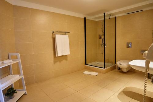 a bathroom with a shower and a toilet and a sink at Petrodava ONE in Piatra Neamţ