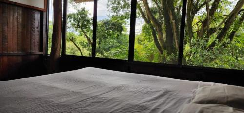 a bedroom with a bed and a window with trees at Hostel Plinio in Manuel Antonio