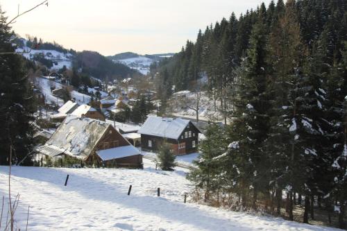 a village in the snow with houses and trees at Ferienhaus Anno Dazumal, wie zu Oma`s Zeiten in Klingenthal