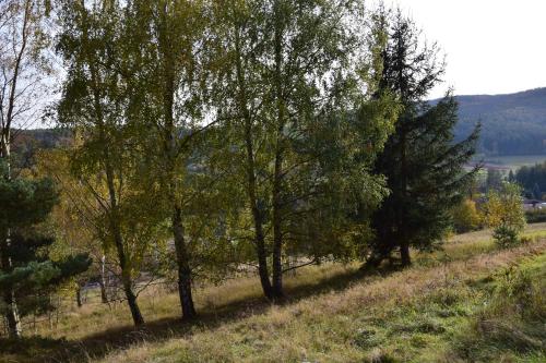 Příroda nedaleko apartmánu
