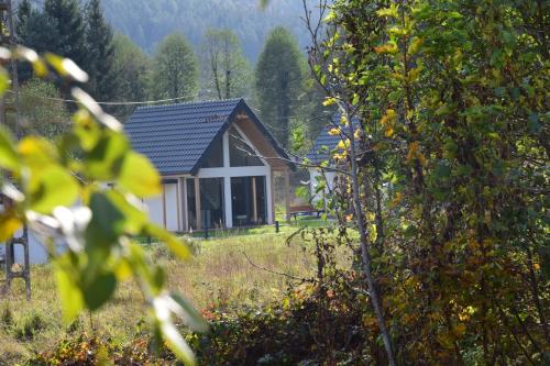 Příroda nedaleko apartmánu