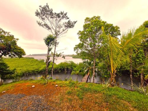 a hill with trees and a river in the background at La Purita Ecolodge in The Gap