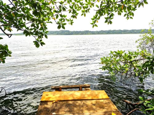 a wooden bench sitting on the side of a body of water at La Purita Ecolodge in The Gap