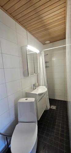 a bathroom with a white toilet and a sink at Ilona Vanha Rauma in Rauma