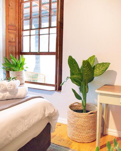 Ένα ή περισσότερα κρεβάτια σε δωμάτιο στο Olive Tree Lodge