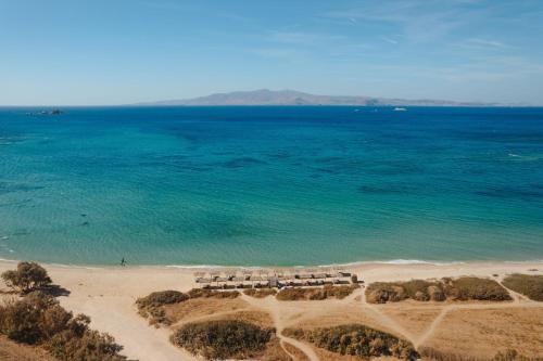 an aerial view of a beach with the ocean at Archon Seaside Retreat in Plaka