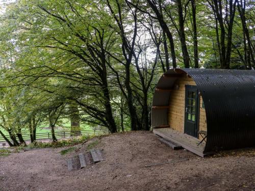 a small cabin in a park with trees in the background at Ballybeg Pod 1 in Arklow