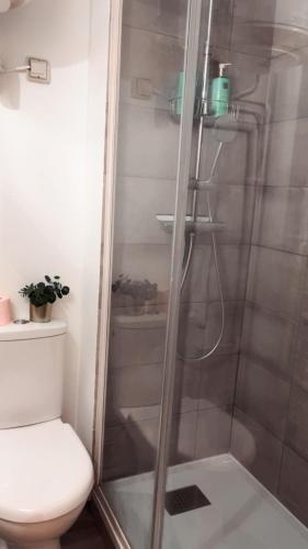 La salle de bains est pourvue d'une douche et de toilettes. dans l'établissement Le Havre Nantais, à Nantes