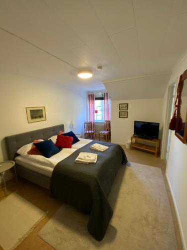 a bedroom with a large bed and a television at Snöå Bruk Hotell och konferens in Dala-Järna