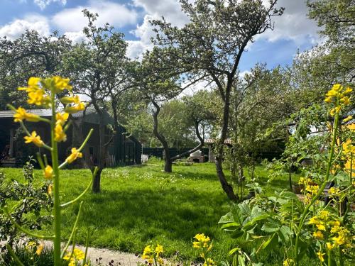 a garden with yellow flowers in the grass at PieterBuur in Pieterburen
