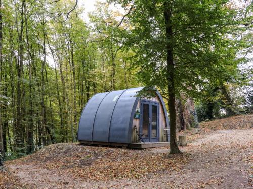 a dome tent sitting on a hill in the woods at Ballybeg Pod 10 in Arklow