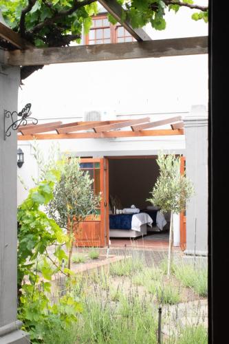 Κήπος έξω από το Olive Tree Lodge