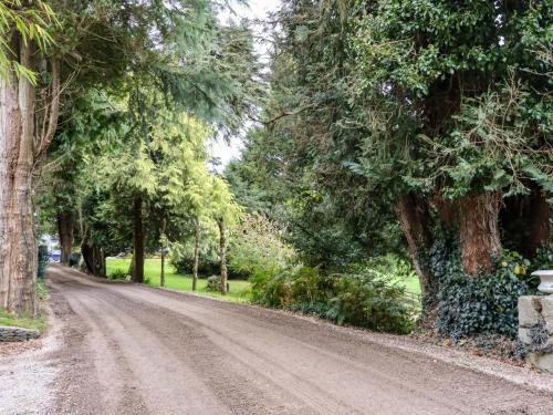 a dirt road with trees on either side at Ballybeg Pod 3 in Arklow