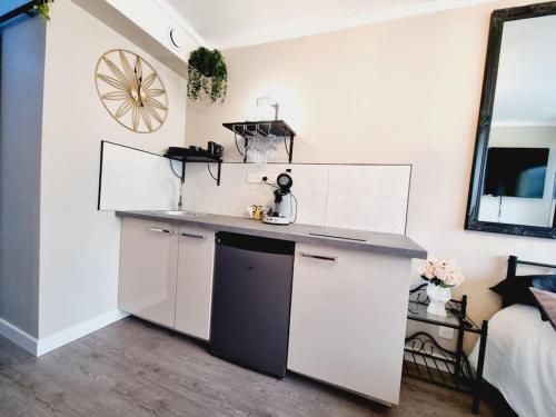 une cuisine avec un comptoir et un évier dans une pièce dans l'établissement Orphelin2 balnéo plaisir & détente au centre ville, à Reims