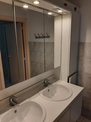 a bathroom with a sink and a mirror at Blekkerke 57 in Koksijde