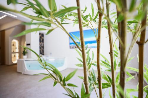 Aphrodite Suite Romantic Jacuzzi & Fireplace