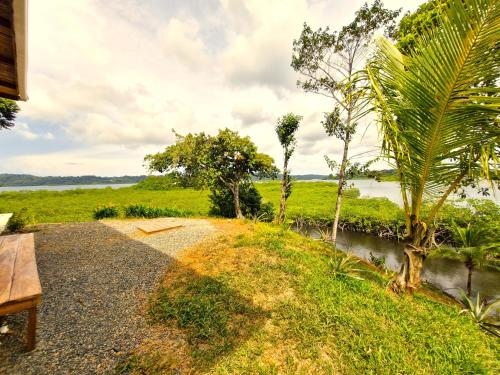 a path leading to the water with a bench at La Purita Ecolodge in The Gap