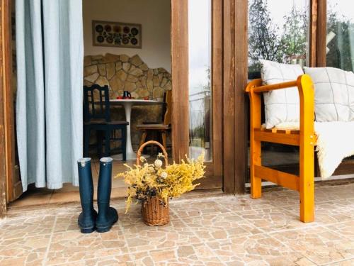 a porch with black boots and a basket of flowers at Repülőhal Apartmanház in Zebegény