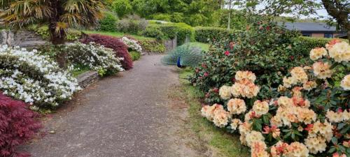 a garden with colorful flowers and a walk way at Great Trethew Hotel - Self Catering Lodges - Bar & Restaurant in Liskeard