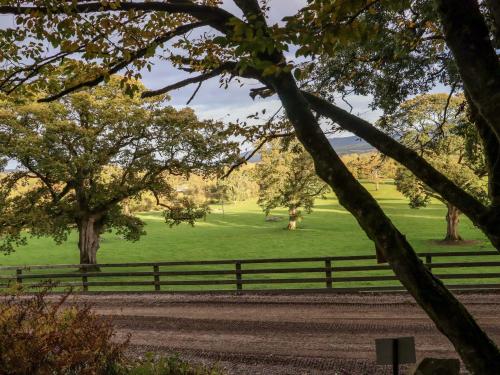 a field with trees and a fence at Ballybeg Pod 8 in Arklow