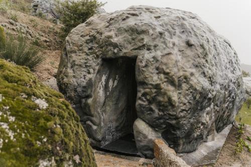 a statue of a dog head on a rock at Pousadela Village & Spa in Vieira do Minho