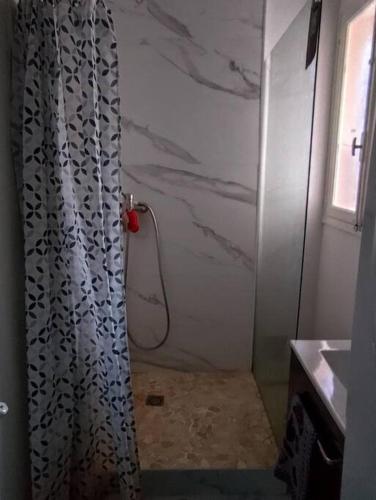 une salle de bain avec une douche avec un rideau de douche dans l'établissement Le tropical 2 chambres, à Romans-sur-Isère