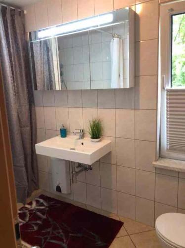 a bathroom with a sink and a mirror and a toilet at Ferienhaus Am Eichenberg Haus 3 in Blankenburg